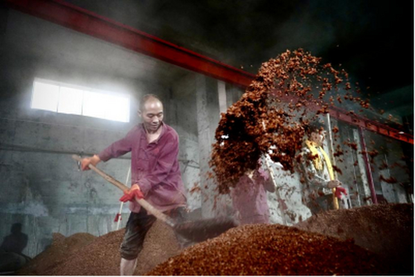 迎难而上 “笨”向未来