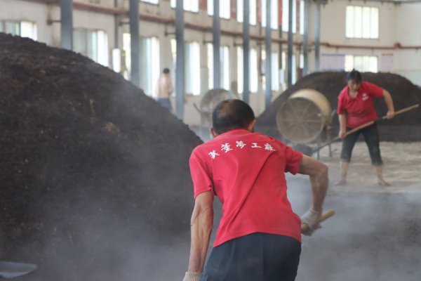 神奇的数字符号（一）——“12987”