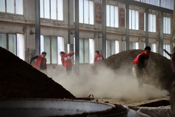 春日不赶  我们不卷