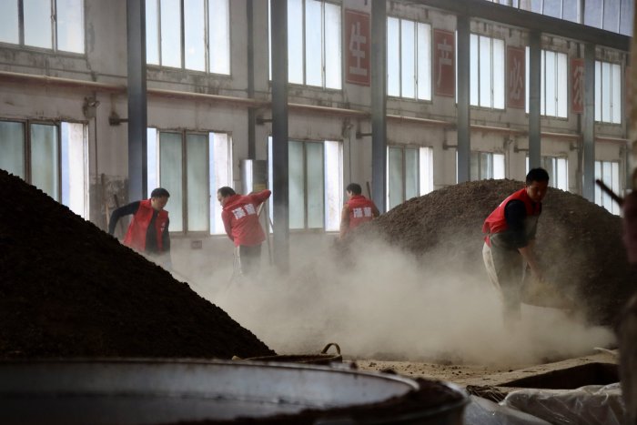 春日不赶  我们不卷